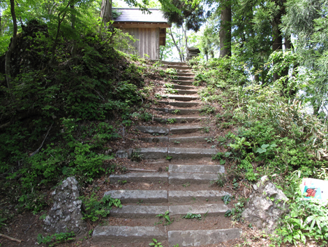 20140517hike (144)